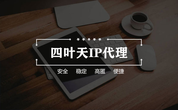 【肥城代理IP】如何快速搭建代理IP？怎么检查代理的效果？