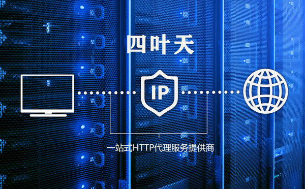 【肥城代理IP】代理IP的主要用途和使用注意事项